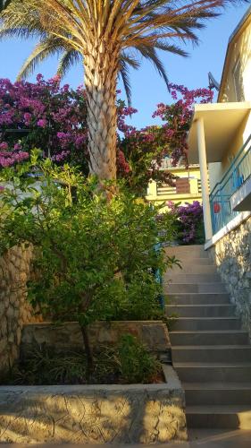 a palm tree and stairs in front of a house at Casita Liliana By the Sea in Mali Lošinj