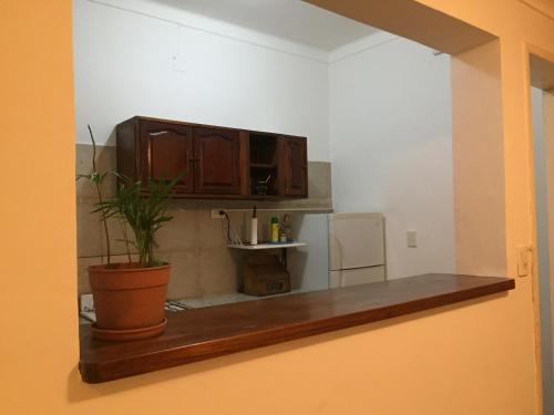 una cocina con una maceta en un estante en Pompeya en Mar del Plata