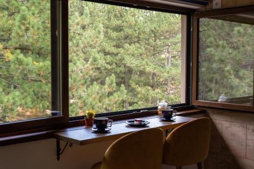 Photo de la galerie de l'établissement Zlatibor Apartman & Spa Casa Perfetta, à Zlatibor