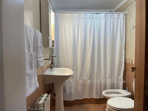 uma casa de banho com um lavatório, um WC e uma cortina de chuveiro. em South Apartments em El Calafate