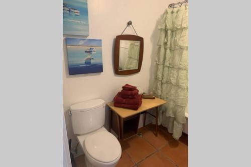 ein Bad mit einem WC und einem Tisch mit einem Spiegel in der Unterkunft Lower east side Nyc in Old Bisbee in Bisbee