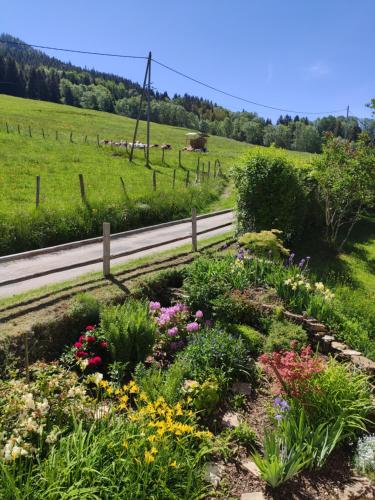 a garden with flowers in the middle of a road at Maison Le ROZET in Les Gras