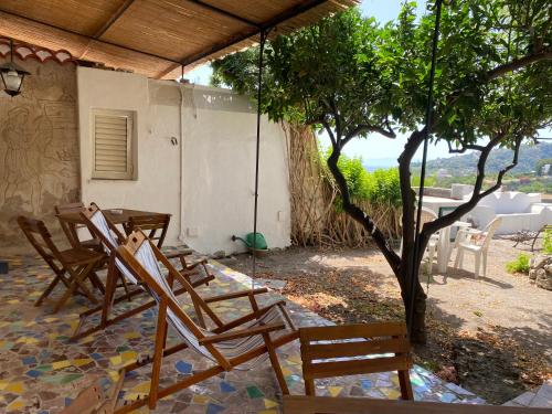 Сад в Hotel Villa Diana