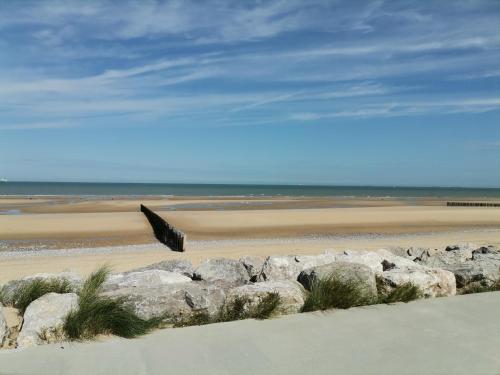 un oiseau survolant une plage de rochers dans l'établissement Le vent du large, à Sangatte