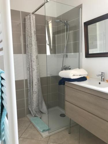 a bathroom with a shower and a sink at studio neuf climatisé in Les Fumades-Les Bains