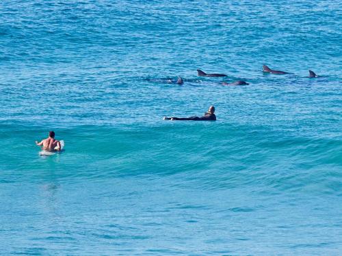 a group of people laying on surfboards in the water at Perfect Seclusion Top Level Only in North Arm Cove