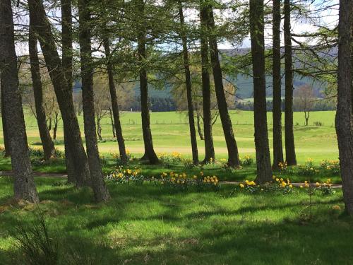 a group of trees and flowers in a field at Strathallan - Luxury 3 Bedroom Apartment, Gleneagles, Auchterarder in Auchterarder