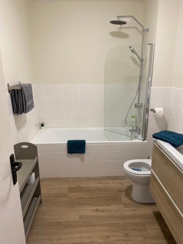 une salle de bain avec une baignoire, des toilettes et une douche dans l'établissement Cosylocation Jean Bart 74, à Rennes