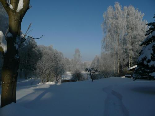 a snow covered field with trees in the background at Landhaus Am Forst in Bad Alexandersbad