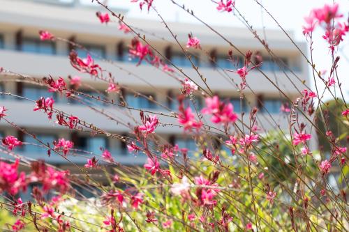 a bunch of pink flowers in front of a building at Hotel Serawa Moraira in Moraira