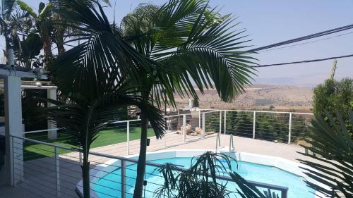 a palm tree sitting next to a swimming pool at Beit Nofesh in Tiberias