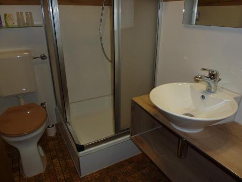 ein Bad mit einem WC, einem Waschbecken und einer Dusche in der Unterkunft Landhaus Am Forst in Bad Alexandersbad