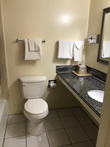 a bathroom with a toilet and a sink at Big Spring Inn Madisonville in Madisonville