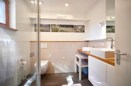 a white bathroom with a sink and a toilet at Penthouse one in Wilnsdorf