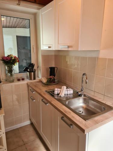 a kitchen with a sink and a counter at Nordsee Cottage Ava in Niebüll