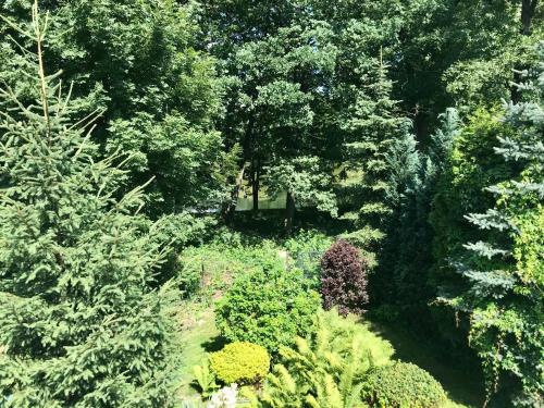 a garden filled with lots of plants and trees at Zielona Prowincja in Mysłakowice