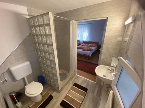 Koupelna v ubytování Casa de oaspeti Anciupi Vendeghaz