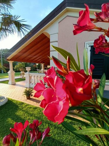 B&B Terra Di Liguria – Photos 4