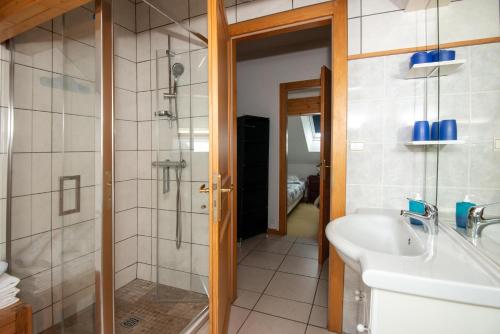 a bathroom with a sink and a shower at Les Adrets in Gérardmer
