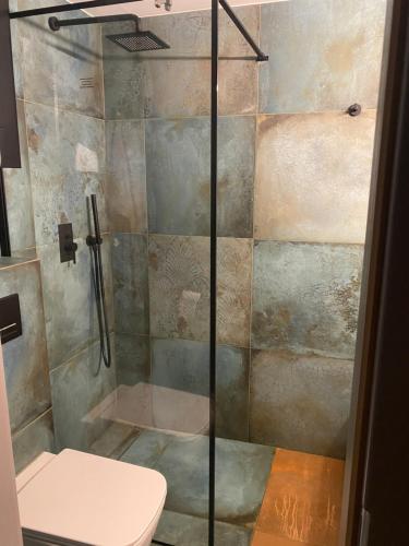 a shower stall with a toilet in a bathroom at Apartament Krakowska in Bochnia