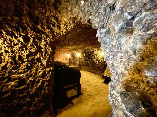 Gallery image of Hotel Slavova Krepost in Melnik