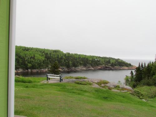 a bench sitting on a hill next to a body of water at Les Chalets au Bord de la Mer in Les Escoumins