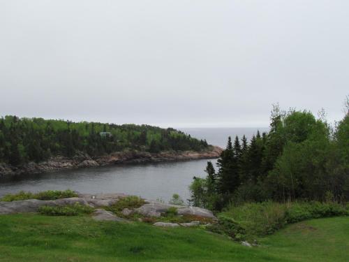 a view of a river with trees in the distance at Les Chalets au Bord de la Mer in Les Escoumins