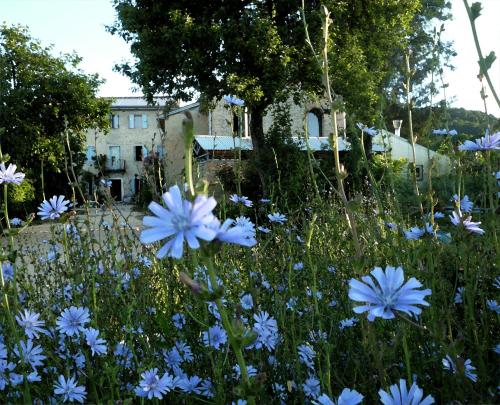 a field of blue flowers in front of a building at Casadesergio in Refrontolo