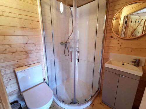 a bathroom with a shower and a toilet and a sink at The Oaks Luxury Lodges in Drumahoe