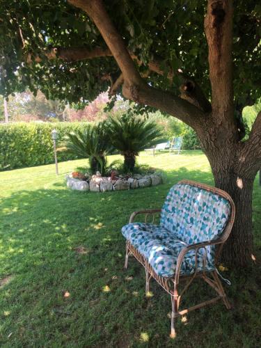 a chair sitting under a tree in the grass at Villa Giantonia in Minturno