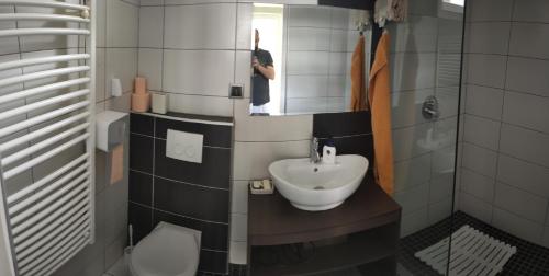 a bathroom with a sink and a toilet and a mirror at Kertes in Veszprém