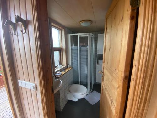 a small bathroom with a toilet and a shower at Borgarbæli in Hella
