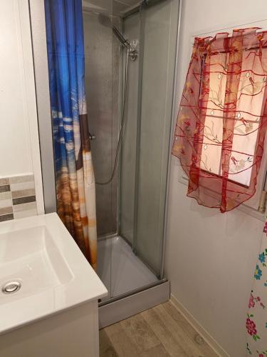 a shower with a glass door next to a sink at Mobilehome 3 chambres curistes camping piscine in Saint-Paul-lès-Dax