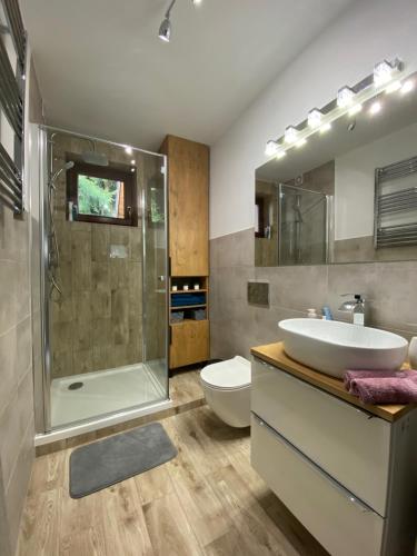 a bathroom with a sink and a shower and a toilet at Apartament Artemida Kletno in Stronie Śląskie