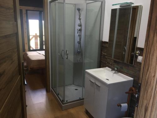 y baño con ducha acristalada y lavamanos. en Cara norte de Gredos, en Hoyos del Espino