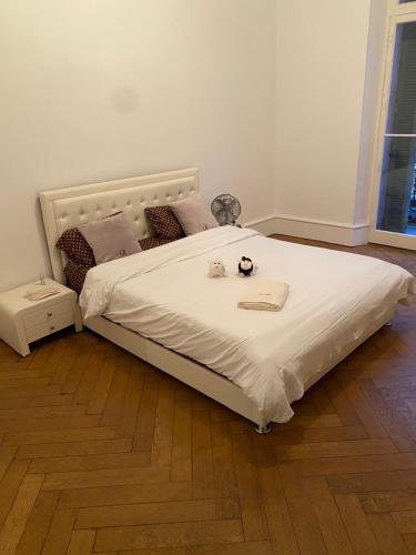 Croisette Palais festival 5 minutes , 170 m2 moderne spacious