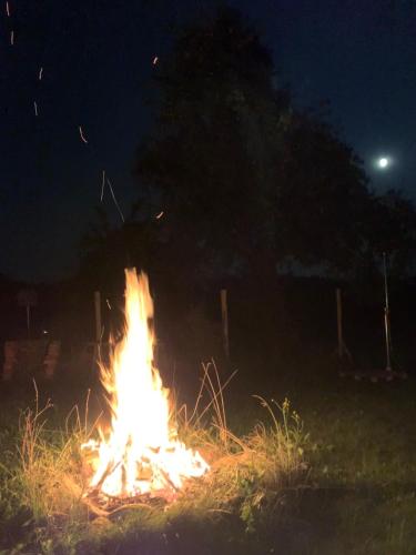 a fire in a field at night at Kellerstöckl am veganen Bio-Lebenshof "Varm - die vegane Farm" in Bergla