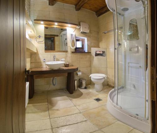 a bathroom with a shower and a sink and a toilet at Arhontiko Aristis in Aristi