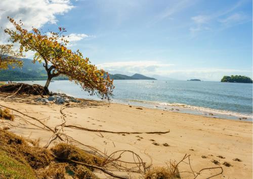 Gambar di galeri bagi EcoLodge Paraty di Paraty