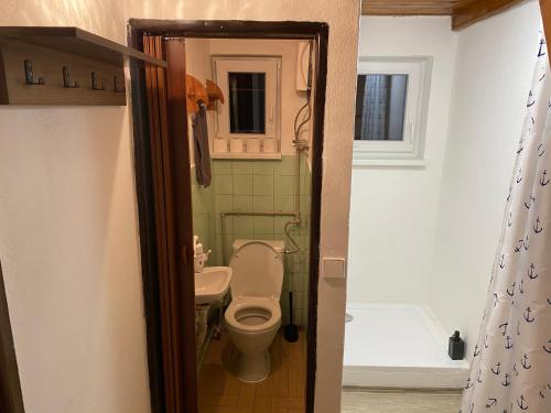 a bathroom with a toilet and a sink at Chata v Beskydech Trojanovice in Trojanovice