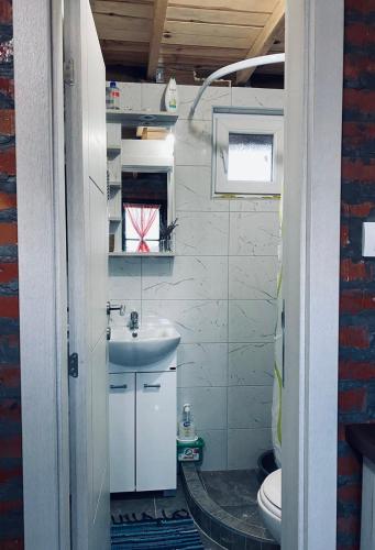 a small bathroom with a sink and a toilet at Tarska Bajka in Bajina Bašta