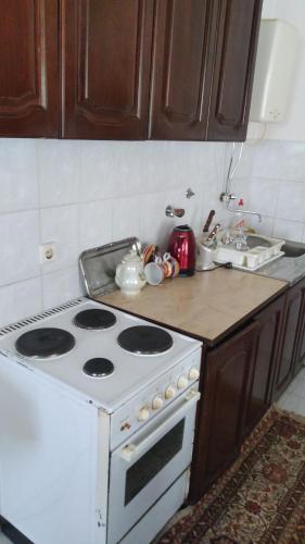 een keuken met een fornuis en een spoelbak bij Apartman Ipak Se Okrece in Trebinje