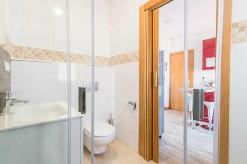 un bagno con un water e un lavandino di Apartamento Céntrico LA CATEDRAL a Murcia