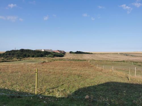a fence in the middle of a field at Rikke og Franks Svineri in Lemvig