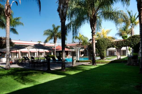 a resort with palm trees and a swimming pool at Real de Minas Poliforum in León