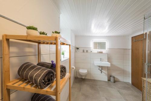 a small bathroom with a toilet and a sink at Ferienhaus an den Maaren in Schalkenmehren