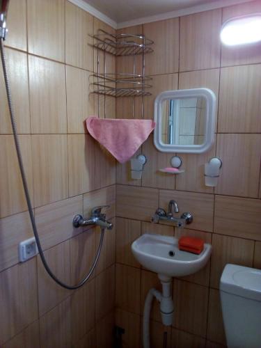 a bathroom with a shower and a sink and a mirror at Стаи за гости Тамара in Ezerets