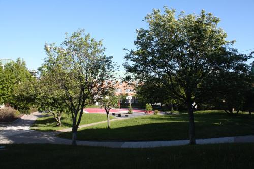 Gallery image of Memorial University in St. John's
