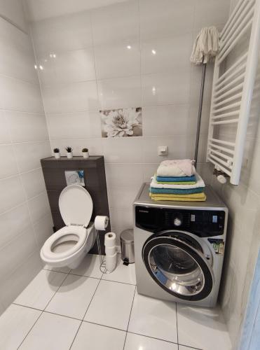 a bathroom with a washing machine and a toilet at Apartament FILO in Pogórze