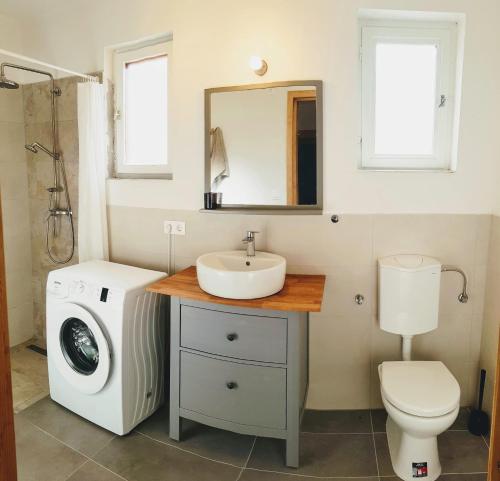 a bathroom with a sink and a washing machine at Tepke Guesthouse Garáb in Garáb